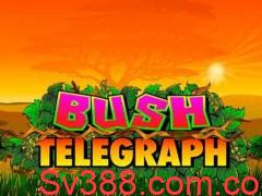 Mời chơi Game slot Bush Telegraph miễn phí mới nhất