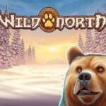 Truy cập Game slot Wild North miễn phí mới nhất